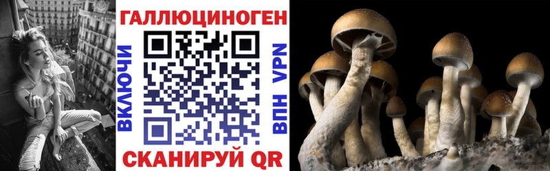 darknet клад  Ясногорск  Галлюциногенные грибы мицелий  купить наркоту 
